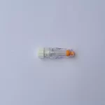 Conector/Válvula bidireccional